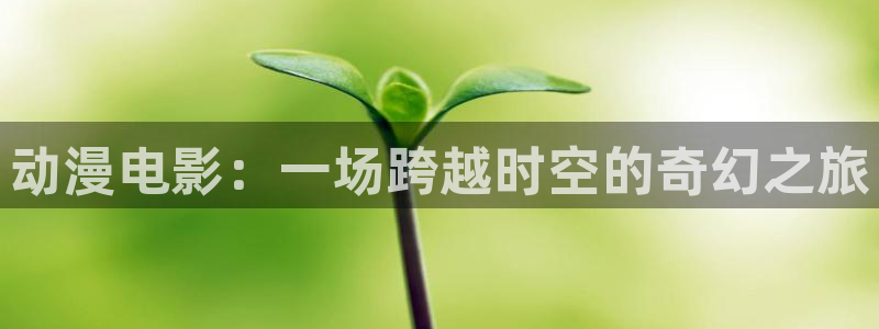 囧次元app下载入口最新版本